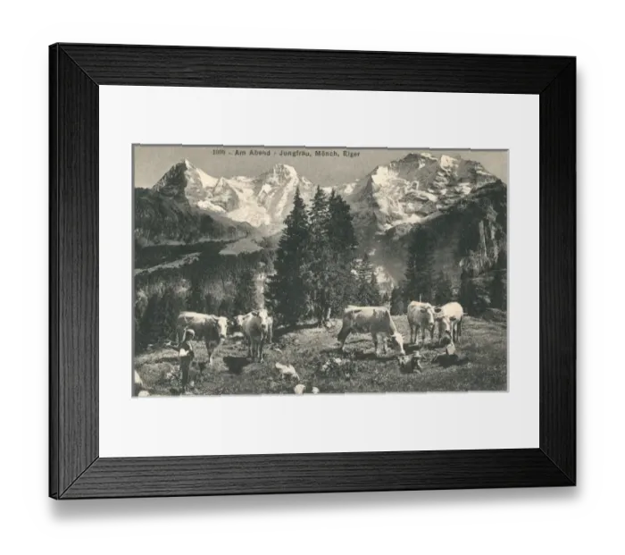 Framed Print : Evening scene, Jungfrau, Monch and Eiger, Switzerland