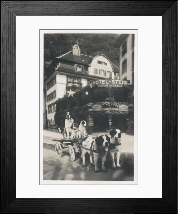 Framed Print : Hotel Stern with dogs, Fluelen, Uri, Switzerland Framed Print : Hotel Stern with dogs, Fluelen, Uri, Switzerland