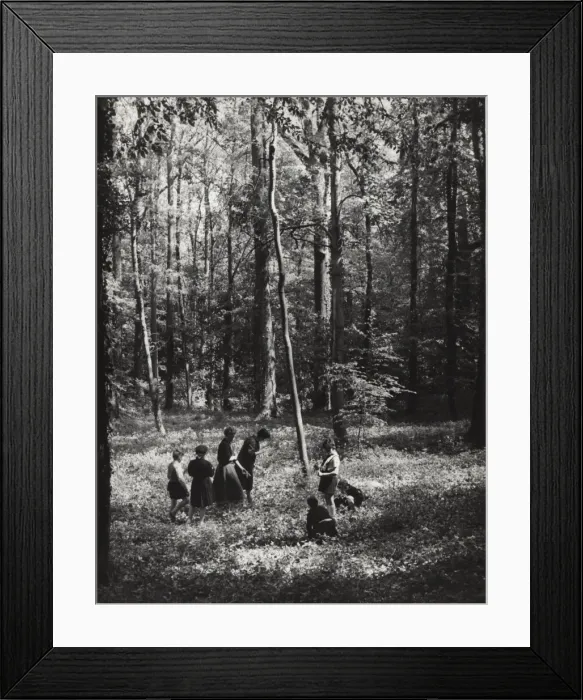Framed Print : French cub scouts, boys and girls, in a wood Framed Print : French cub scouts, boys and girls, in a wood