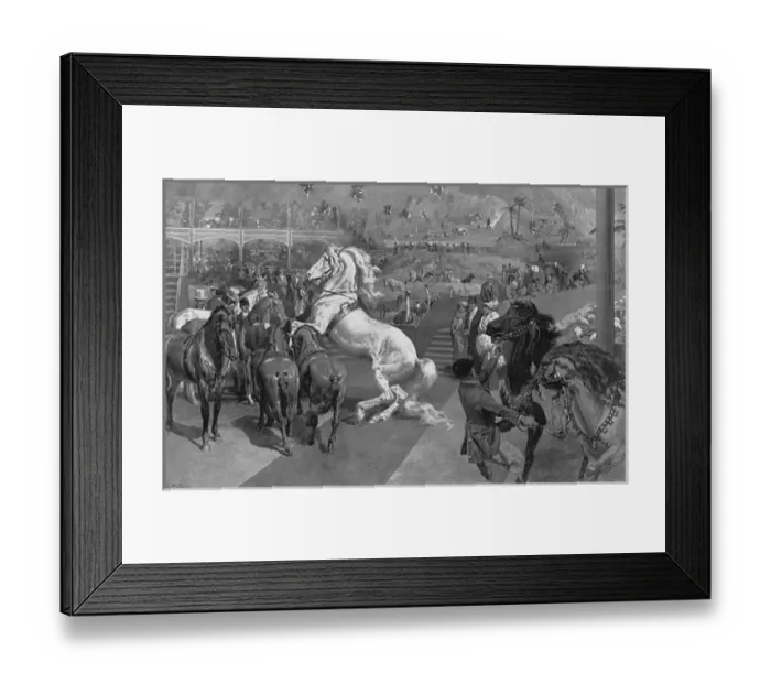 Framed Print : Hagenbecks Great Zoological Show at Olympia, London Framed Print : Hagenbecks Great Zoological Show at Olympia, London