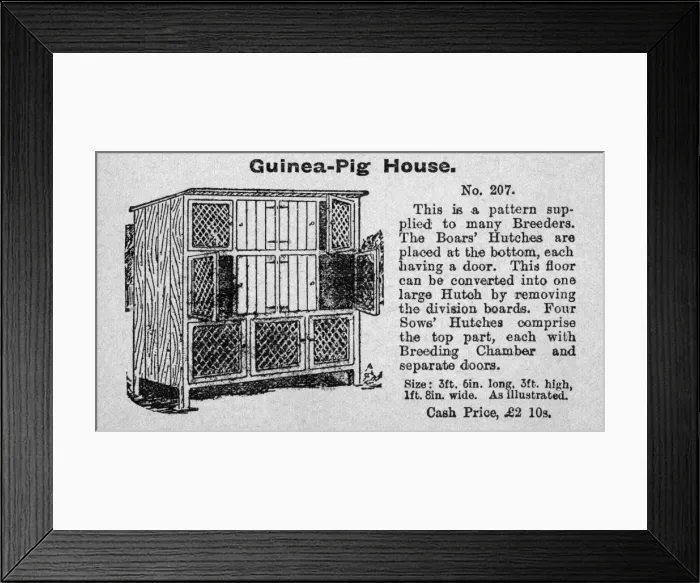 Framed Print : Guinea-pig house Framed Print : Guinea-pig house