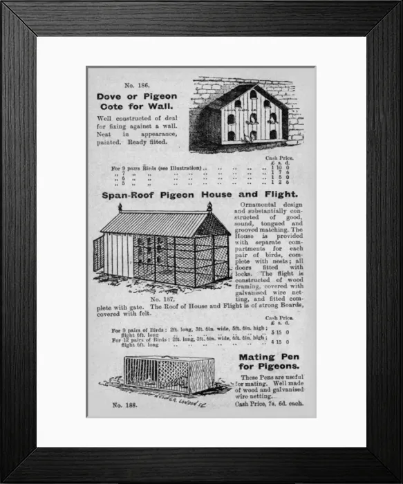 Framed Print : Pigeon cotes Framed Print : Pigeon cotes