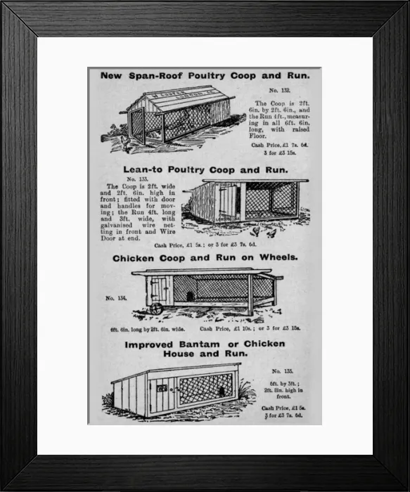 Framed Print : Poultry coops Framed Print : Poultry coops