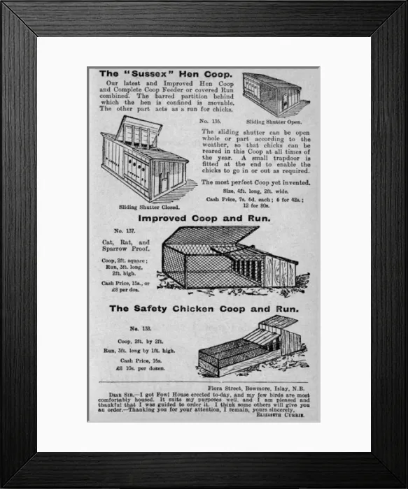 Framed Print : Hen coops. Various hen coops from the Gardeners and Poultry Keepers Guide Date: 1908 Framed Print : Hen coops. Various hen coops from the Gardeners and Poultry Keepers Guide Date: 1908