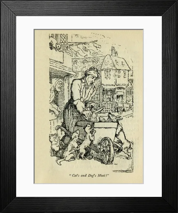 Framed Print : Pet food seller Framed Print : Pet food seller