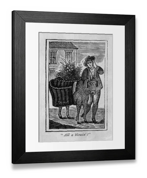 Framed Print : Flower seller Framed Print : Flower seller