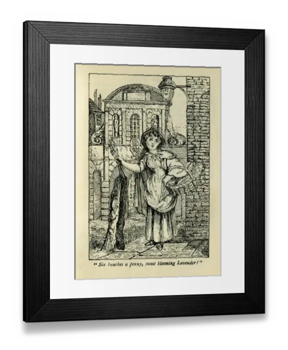 Framed Print : Lavender seller Framed Print : Lavender seller