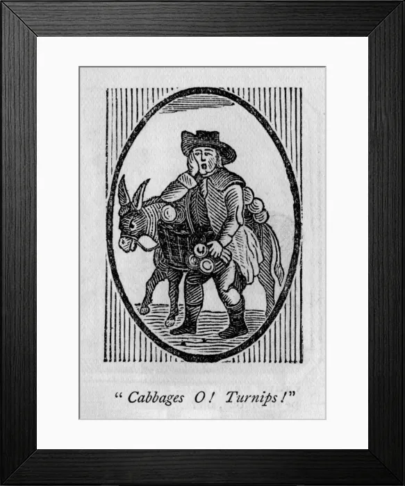 Framed Print : Vegetable seller (cabbages) Framed Print : Vegetable seller (cabbages)