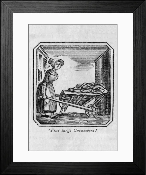 Framed Print : Vegetable seller (cucumbers) Framed Print : Vegetable seller (cucumbers)