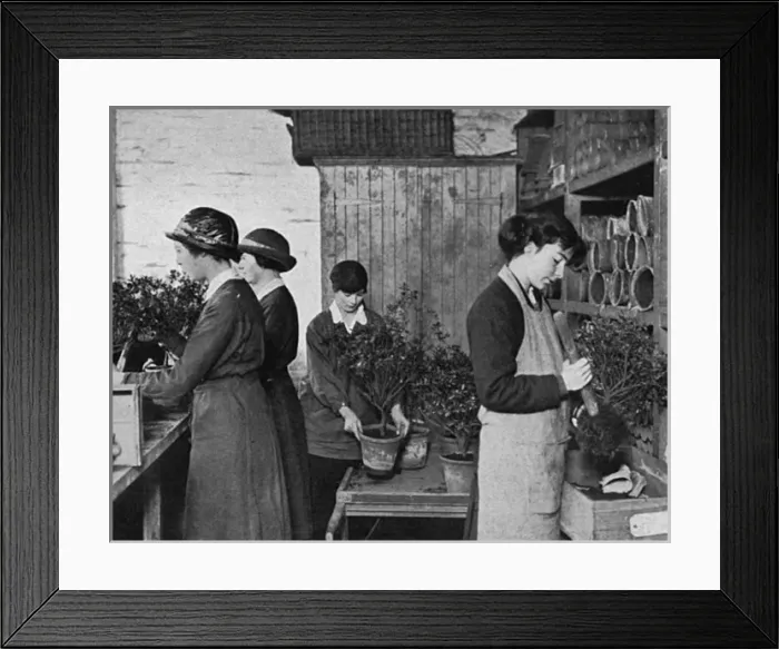 Framed Print : Women Gardeners at Windsor, WW1 Framed Print : Women Gardeners at Windsor, WW1