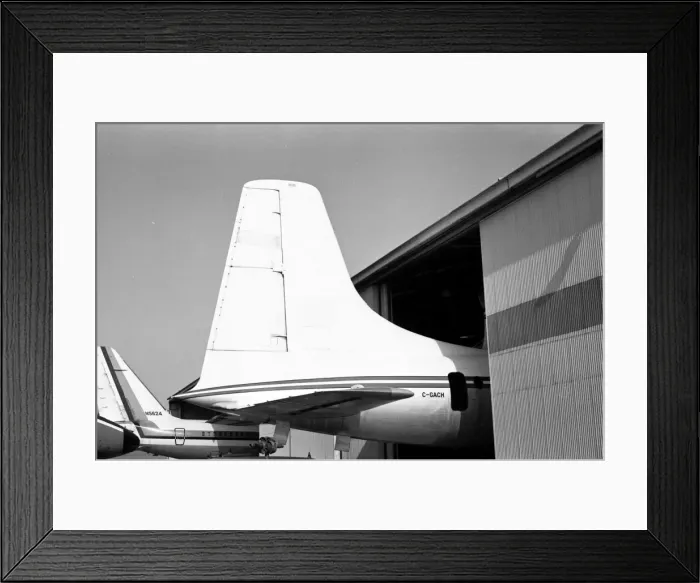 Framed Print : BA Swallow G-AEVZ Framed Print : BA Swallow G-AEVZ