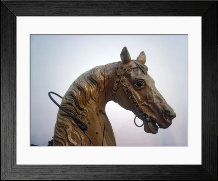 Framed Print : Carousel Horse Framed Print : Carousel Horse