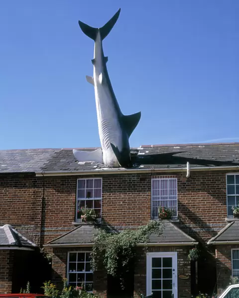 The Headington Shark