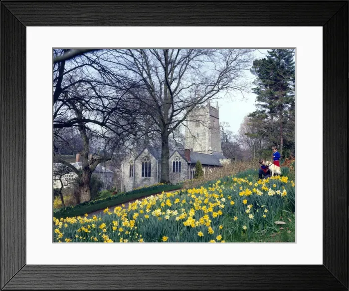 Framed Print : Cockington Church, near Torquay, Devon Framed Print : Cockington Church, near Torquay, Devon