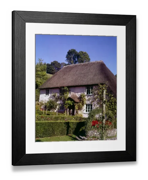Framed Print : Thatched cottage at Cockington, Devon Framed Print : Thatched cottage at Cockington, Devon
