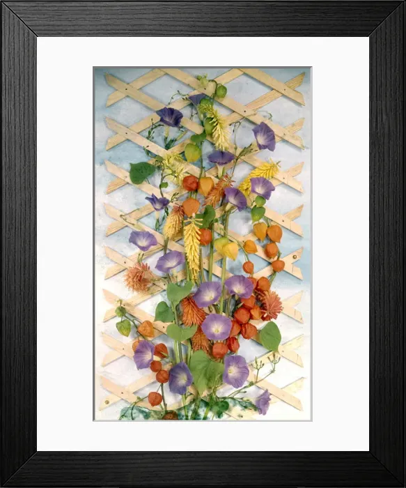 Framed Print : Summer flower arrangement with trellis Framed Print : Summer flower arrangement with trellis