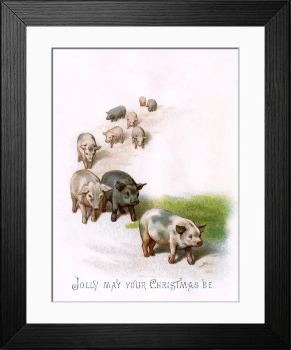 Framed Print : Unusual pigs Christmas greeting Framed Print : Unusual pigs Christmas greeting