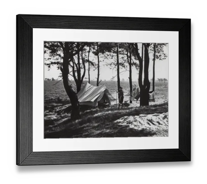 Framed Print : Dutch boy scouts camping, Holland Framed Print : Dutch boy scouts camping, Holland