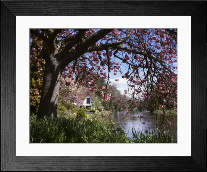 Framed Print : Bickleigh Cottage on the River Exe, Devon Framed Print : Bickleigh Cottage on the River Exe, Devon