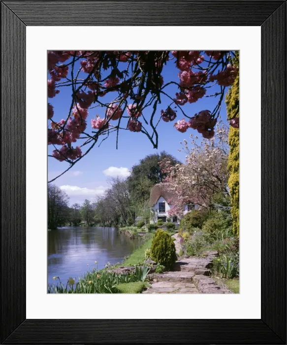 Framed Print : Bickleigh Cottage on the River Exe, Devon Framed Print : Bickleigh Cottage on the River Exe, Devon