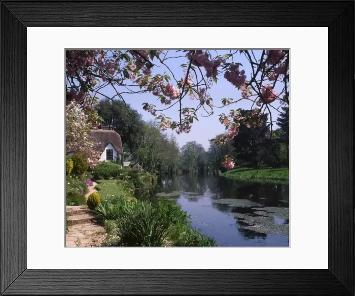 Framed Print : Bickleigh Cottage on the River Exe, Devon Framed Print : Bickleigh Cottage on the River Exe, Devon