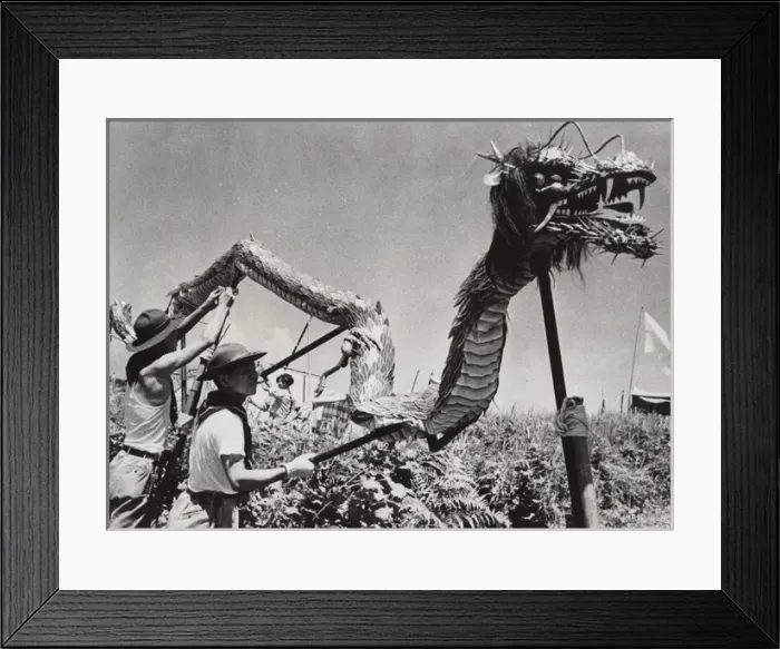 Framed Print : Boy scouts in dragon dance, Nagasaki, Japan Framed Print : Boy scouts in dragon dance, Nagasaki, Japan