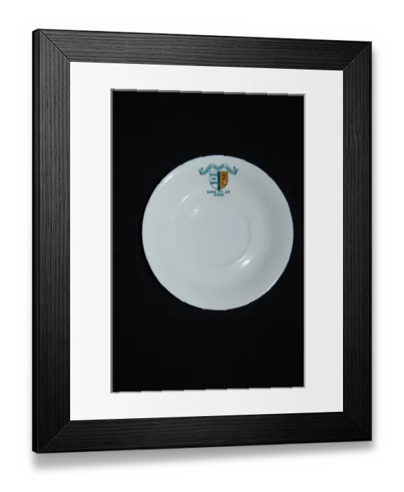 Framed Print : Suffragette Womens Freedom League China Framed Print : Suffragette Womens Freedom League China