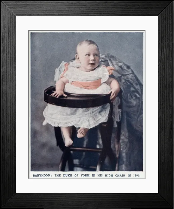 Framed Print : Prince Albert in high chair Framed Print : Prince Albert in high chair