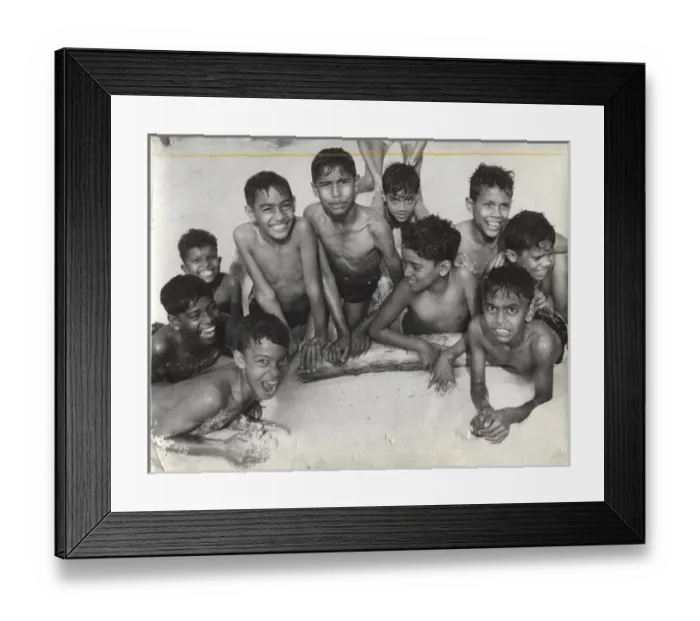 Framed Print : Happy group of wolf cubs, Mauritius Framed Print : Happy group of wolf cubs, Mauritius