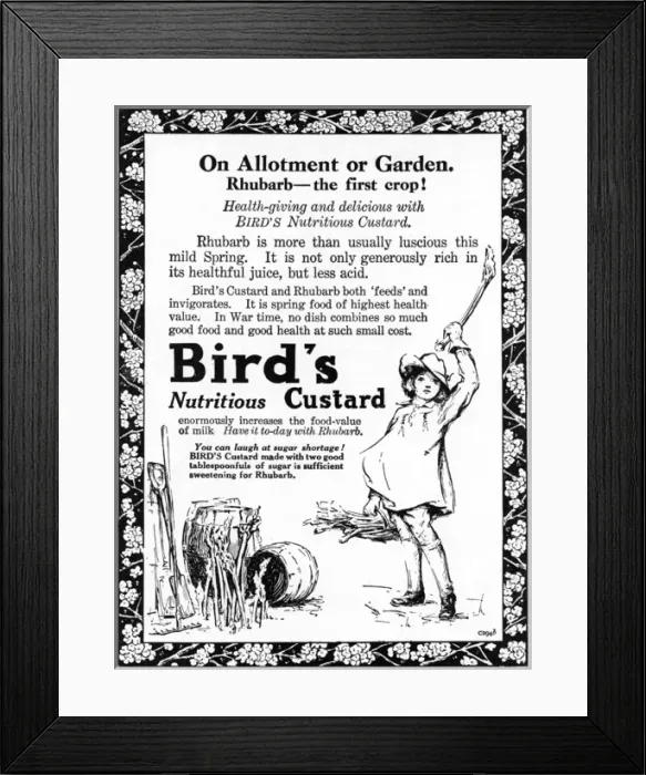 Framed Print : Birds Custard advertisement, WW1 Framed Print : Birds Custard advertisement, WW1