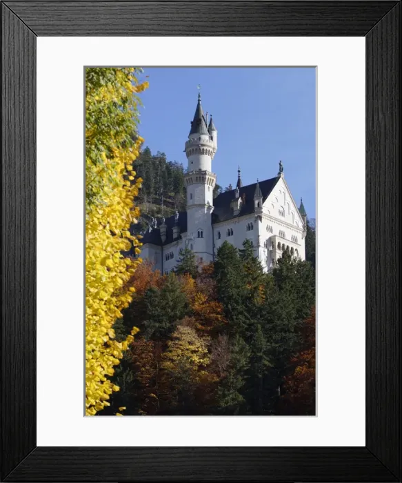 Framed Print : Germany, Bayern, Fussen, Schwangau Framed Print : Germany, Bayern, Fussen, Schwangau