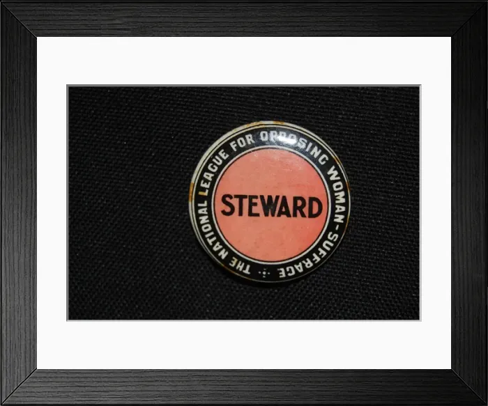 Framed Print : National League for Opposing Woman Suffrage Framed Print : National League for Opposing Woman Suffrage