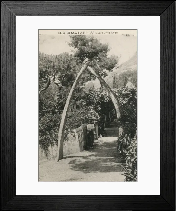 Framed Print : Whales Jaw Arch, Gibraltar Framed Print : Whales Jaw Arch, Gibraltar