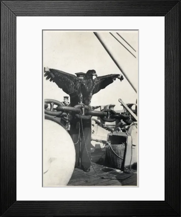 Framed Print : Aircraft carrier HMS Eagle with mascot Framed Print : Aircraft carrier HMS Eagle with mascot