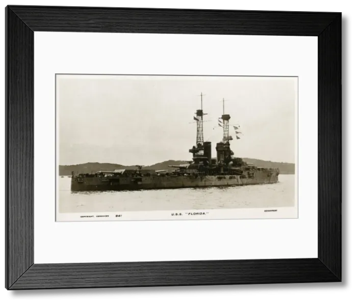 Framed Print : Limnodromus griseus, short-billed dowitcher Framed Print : Limnodromus griseus, short-billed dowitcher