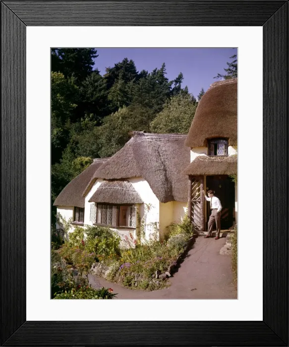 Framed Print : Thatched cottages at Selworthy Green, Somerset Framed Print : Thatched cottages at Selworthy Green, Somerset