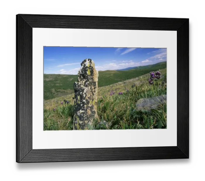 Framed Print : Russia - view with lichen covered stone Framed Print : Russia - view with lichen covered stone