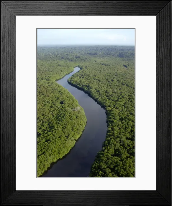 Framed Print : Rainforest and a river near Sekong Bay, near Sandakan Framed Print : Rainforest and a river near Sekong Bay, near Sandakan