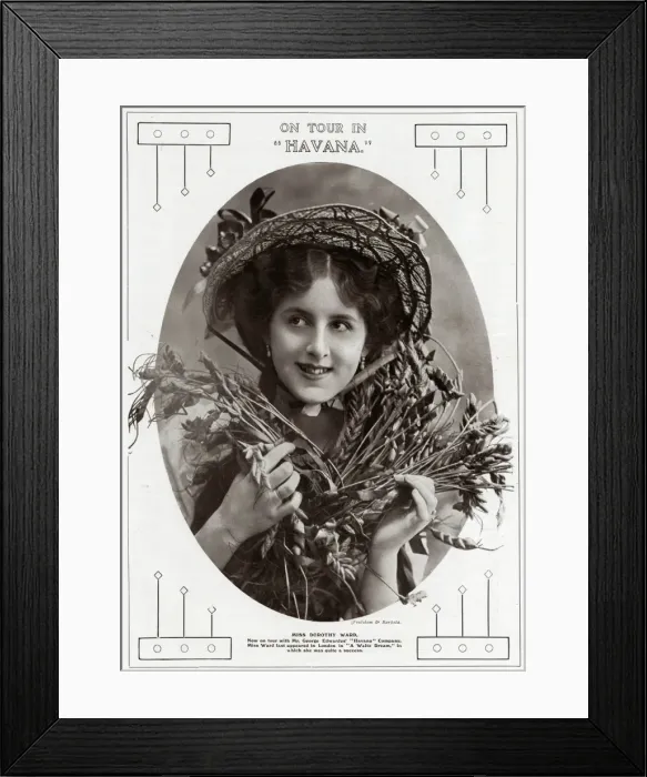 Framed Print : Dorothy Ward Framed Print : Dorothy Ward