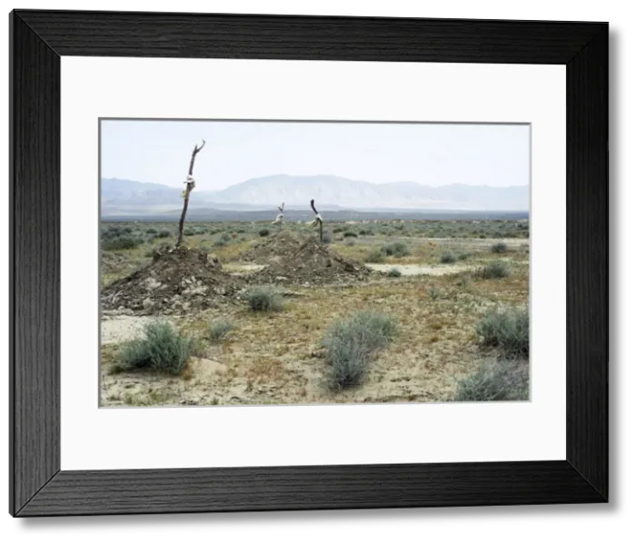 Framed Print : Traditional Turkmen graves - a cemetery of simple Framed Print : Traditional Turkmen graves - a cemetery of simple
