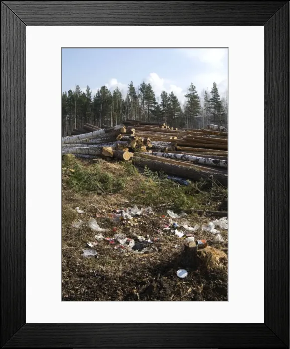 Framed Print : Logging site - rubbish left by loggers - stacked Framed Print : Logging site - rubbish left by loggers - stacked