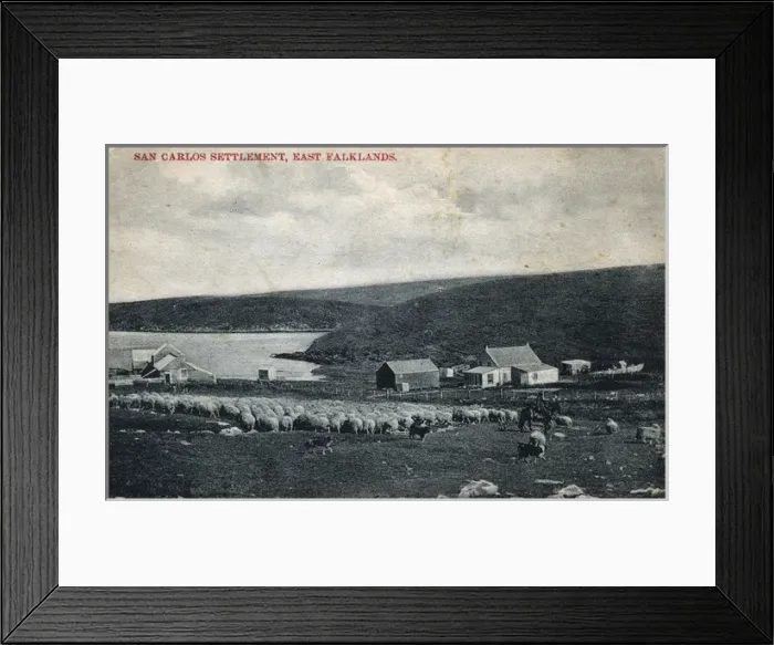 Framed Print : San Carlos Settlement, East Falklands Framed Print : San Carlos Settlement, East Falklands
