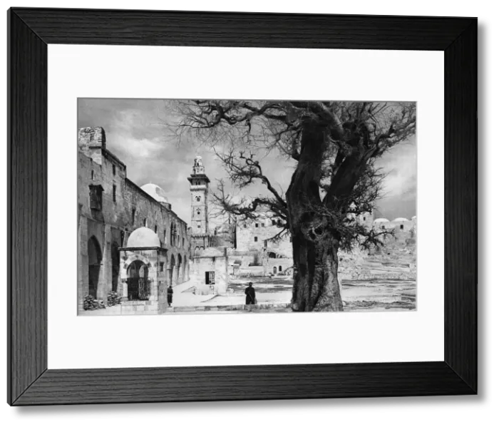 Framed Print : Inside the Haram esh Sherif, Jerusalem Framed Print : Inside the Haram esh Sherif, Jerusalem