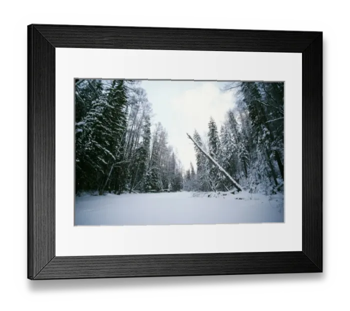 Framed Print : Russia. Abakah Schusensky Wild Reserve, Siberia Framed Print : Russia. Abakah Schusensky Wild Reserve, Siberia