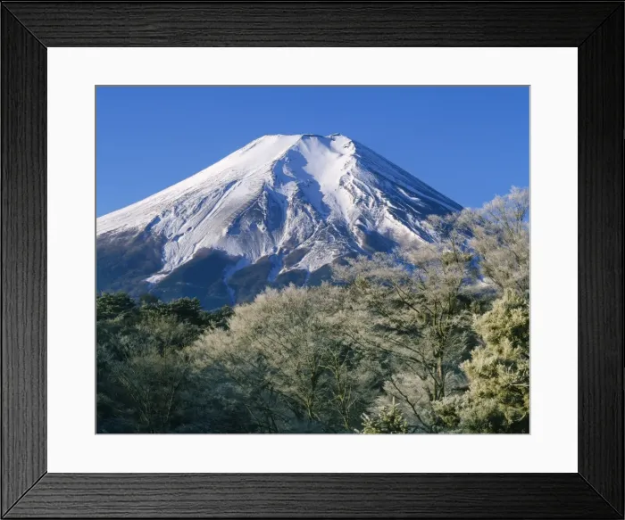 Framed Print : Mount Fuji