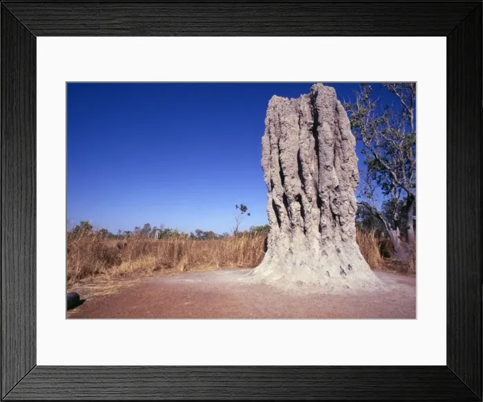 Framed Print : Termite Mounds Framed Print : Termite Mounds