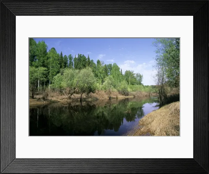 Framed Print : River Negustyah in middle current. Dark water is Framed Print : River Negustyah in middle current. Dark water is