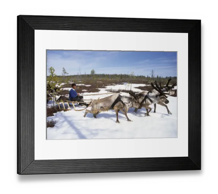 Framed Print : Minority selkup father (Eugenii Irikov) and son Framed Print : Minority selkup father (Eugenii Irikov) and son