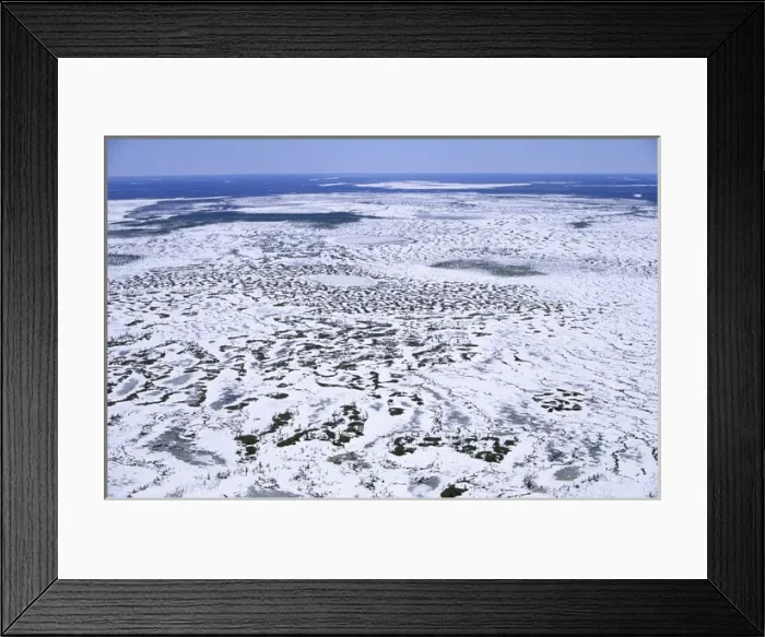 Framed Print : Semi-tundra aerial, North Siberia Framed Print : Semi-tundra aerial, North Siberia