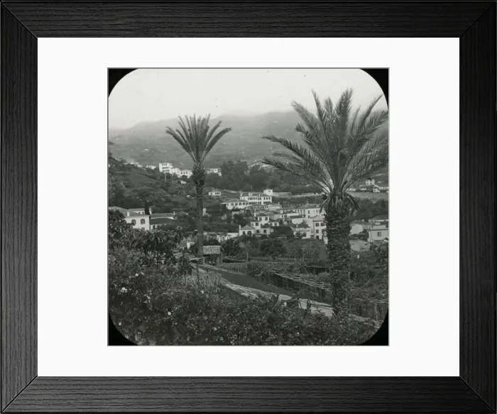 Framed Print : Visit to Madeira - Funchal from Bella Vista Gardens Framed Print : Visit to Madeira - Funchal from Bella Vista Gardens